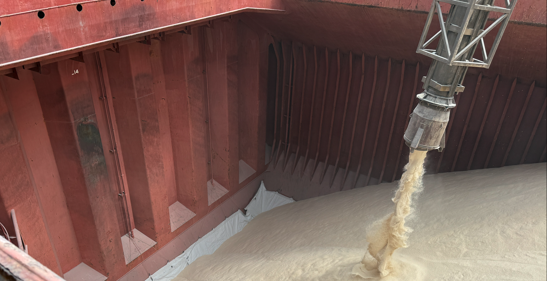 GRAIN CARGO