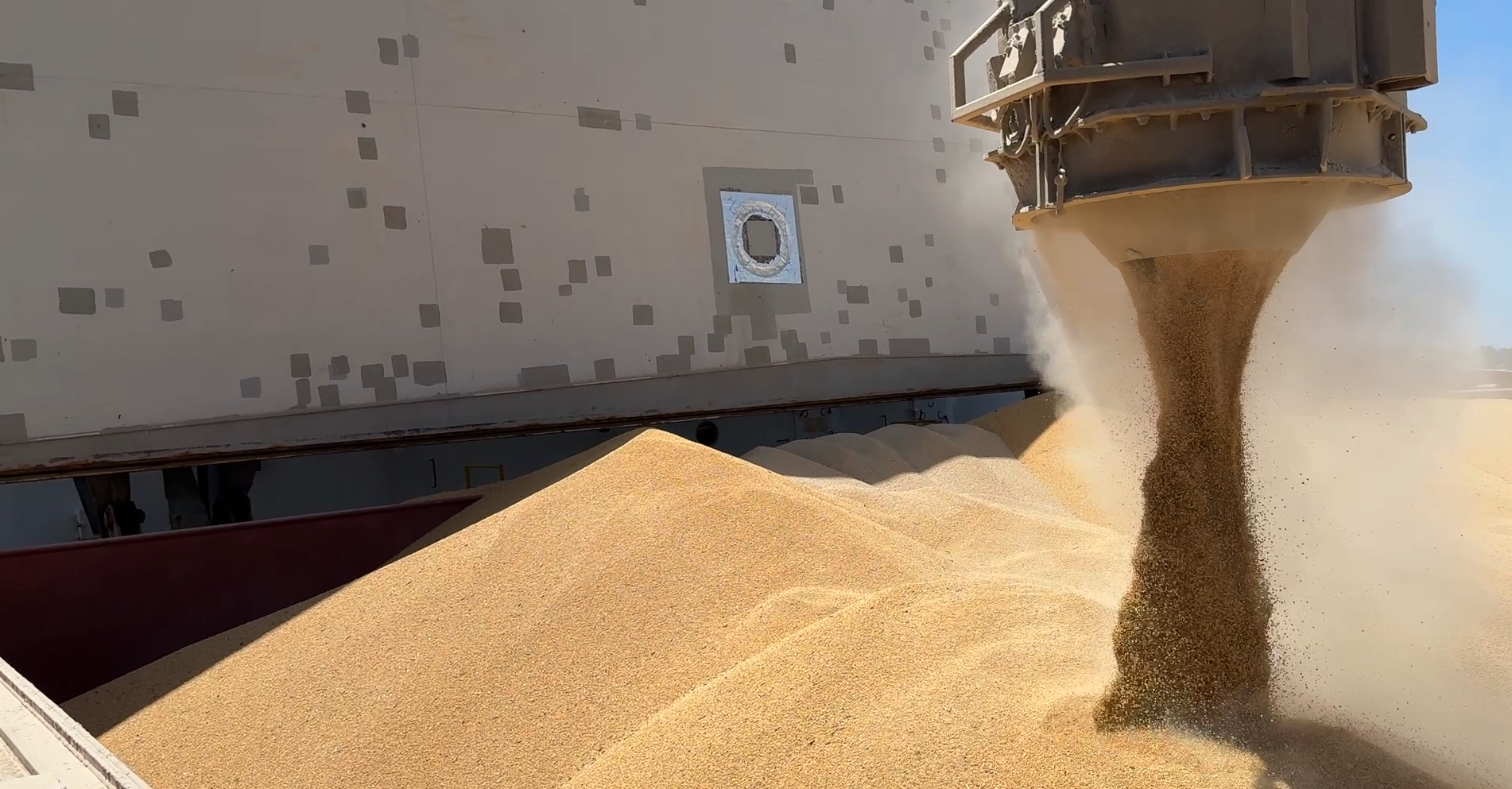 GRAIN CARGO