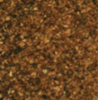 Dark Brown color of DDGS cargo